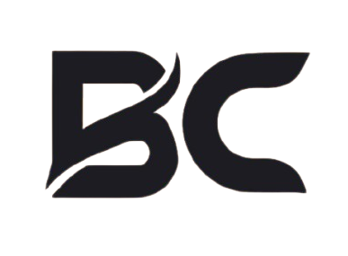 Best Next Choice Logo